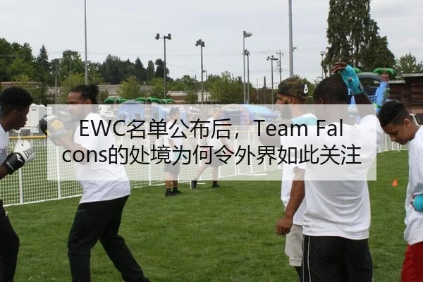 EWC名单公布后，Team Falcons的处境为何令外界如此关注